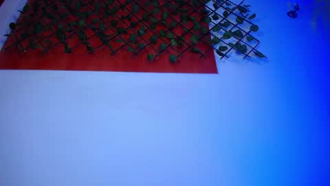 Emily Trujillo online show from November 8, 9:09 pm