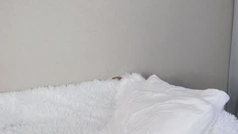 eva varnerr online show from February 5, 12:38 pm