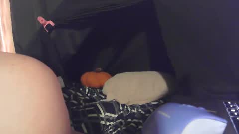 Exoticlexxii online show from January 15, 5:13 am