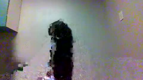 Snapshot of fiiji710 chatting on October 3, 9:42 pm fiiji710 online show from October 3, 9:42 pm