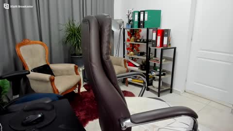 Snapshot of fireflowers_ chatting on December 29, 11:08 pm Kallisy online show from December 29, 11:08 pm