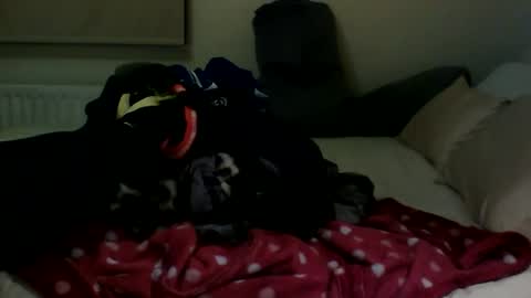 Fitbut online show from January 30, 7:48 pm