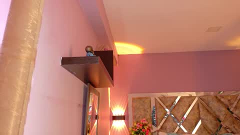     online show from October 24, 10:33 am