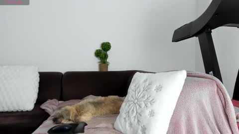 Alice online show from January 13, 10:25 pm