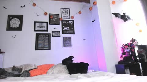 hi my name is Elizabeth nice to meet you online show from January 5, 6:35 pm