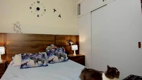 taylor live   online show from March 3, 11:33 pm