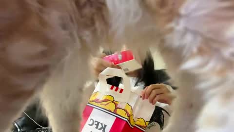 amy online show from June 5, 1:50 pm