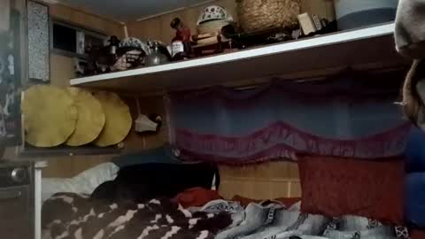 hoodoou online show from February 8, 2:04 am