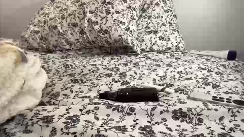 Annabelle online show from February 24, 12:43 am