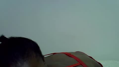 hotmary64 online show from January 25, 7:16 pm