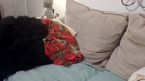 hotpepperose online show from February 27, 2:33 am