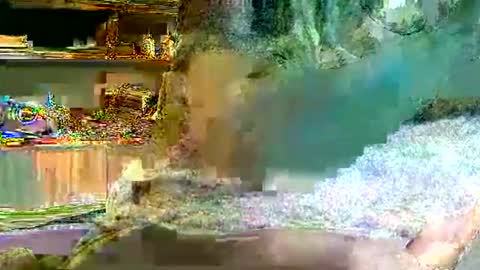 hp58649blabla online show from September 23, 6:39 pm