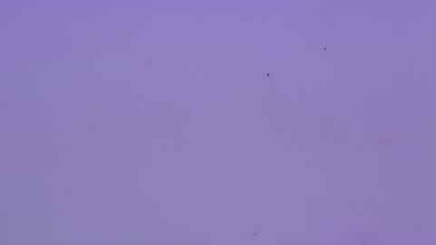 aurora online show from November 24, 8:00 pm