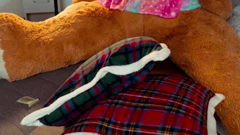 Joanna  Independent model. online show from November 9, 9:55 pm