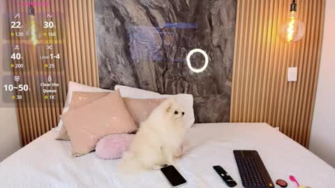 ISADORA online show from October 13, 2:31 pm