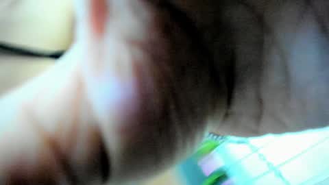 Ivy bellee online show from December 3, 5:41 am