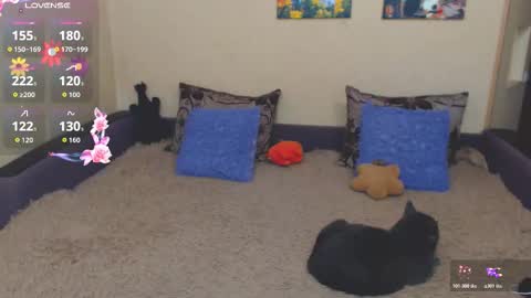 Jul online show from February 21, 2:40 pm