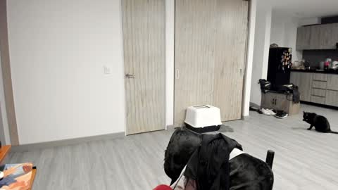 juliethkain online show from February 8, 4:03 am