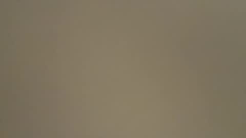 Snapshot of kailaxxxkandy chatting on January 30, 6:21 pm          Anime Goth Kaila Kitty Kandy          online show from January 30, 6:21 pm