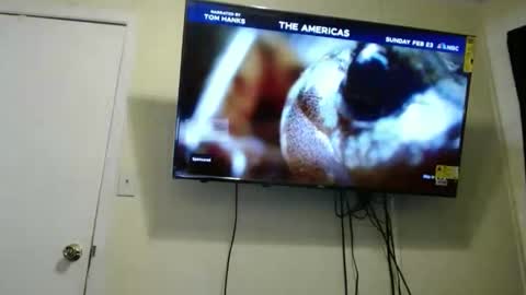 kashmoniy online show from February 11, 7:44 am