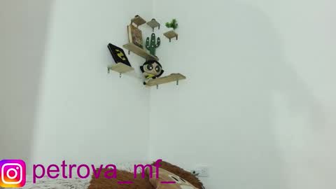 kathe online show from November 21, 9:33 am