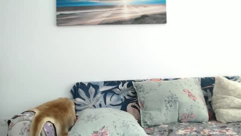 Snapshot of khrysssarah chatting on September 26, 8:12 am Sarah online show from September 26, 8:12 am