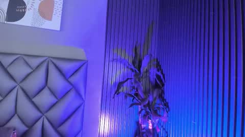   online show from November 12, 9:13 pm