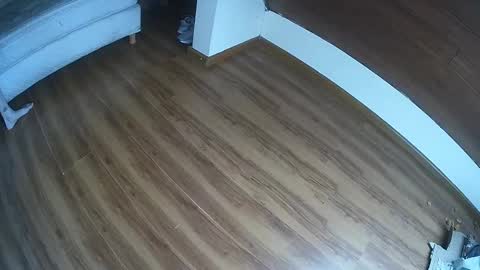 Klowrash online show from January 30, 5:28 pm