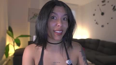 schedule 300 pm - 1100pm colombia time online show from March 16, 11:08 pm