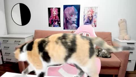 Kira online show from February 18, 12:10 am