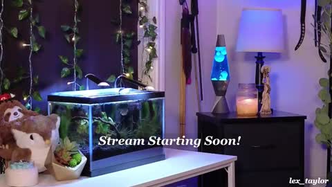 Snapshot of lex_taylor chatting on March 8, 3:59 am Lex online show from March 8, 3:59 am