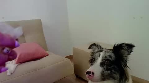 Lia  online show from February 14, 6:43 pm