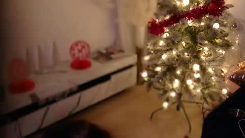 Rebecca online show from December 21, 12:48 am