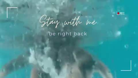 Lily online show from November 10, 6:52 am