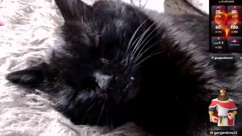 Lena online show from April 24, 4:15 am