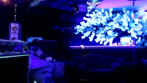 GentleViolet online show from January 15, 8:09 am