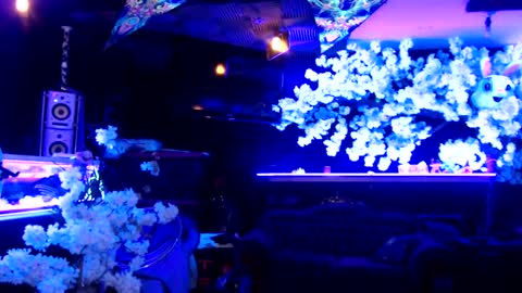 GentleViolet online show from January 21, 4:54 am