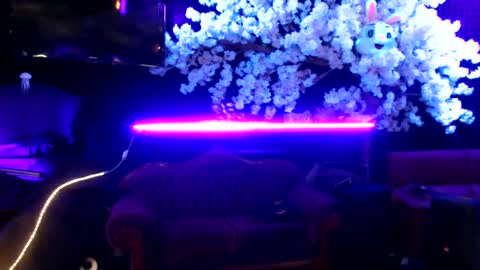 GentleViolet online show from January 30, 5:52 am