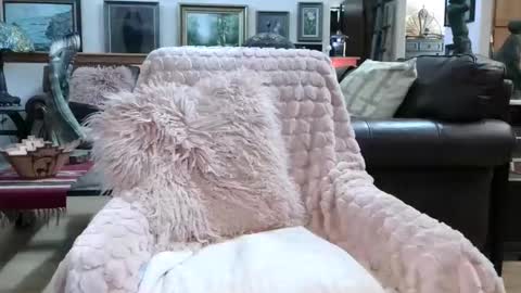 Miss D   Shows Mon Wed  Fri online show from March 25, 7:39 pm