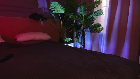 Liv 3 online show from February 21, 2:40 pm