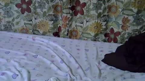 lora_amor online show from May 15, 2:38 am