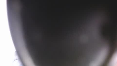 lorexxw online show from July 9, 12:13 am