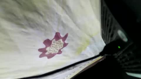 lovelypinay2 online show from February 5, 3:34 am