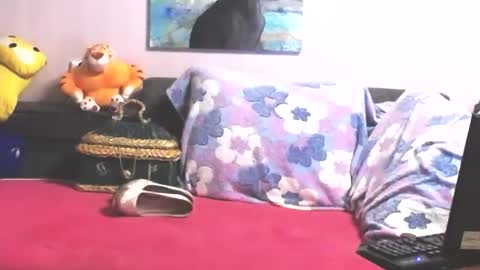 Anna online show from October 31, 10:36 pm