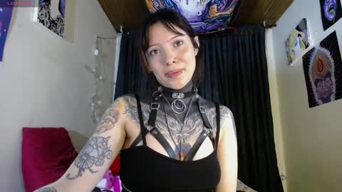 Snapshot of maliceinwonderland25 chatting on December 6, 6:04 am Alice Asylum online show from December 6, 6:04 am