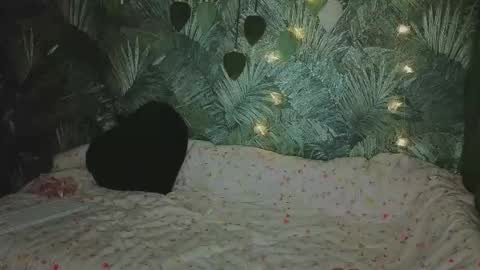 Snapshot of meeeewmeeeeow chatting on October 13, 11:18 pm meeeewmeeeeow online show from October 13, 11:18 pm