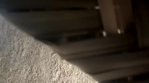 melodysnow online show from January 12, 7:19 pm