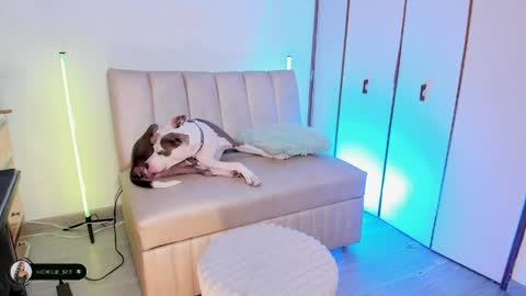 Michelle online show from April 15, 9:59 pm