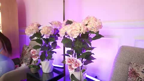 milacrave online show from January 13, 11:47 am