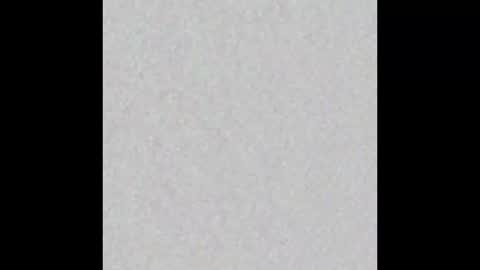 Misa online show from December 19, 8:28 am